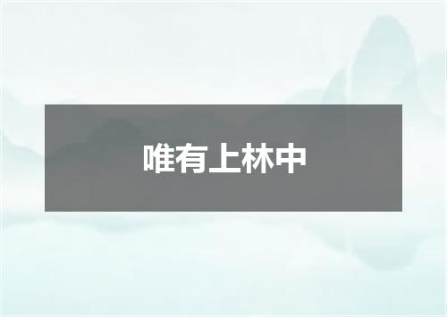 唯有上林中