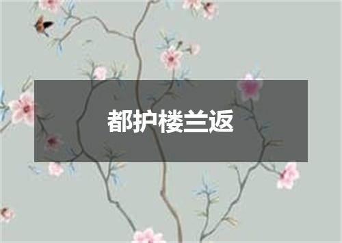都护楼兰返