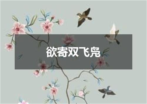 欲寄双飞凫