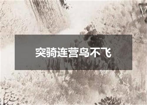 突骑连营鸟不飞