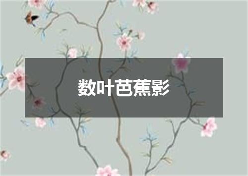 数叶芭蕉影