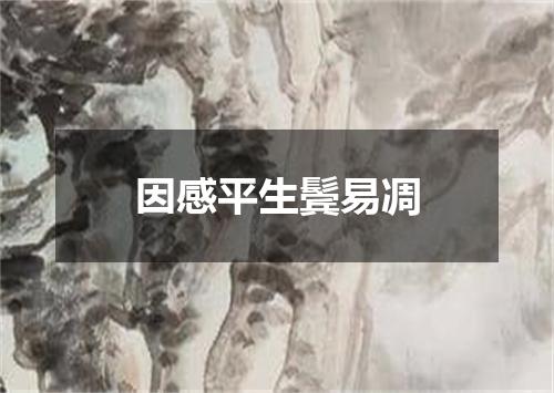 因感平生鬓易凋
