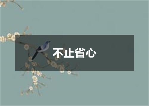 不止省心
