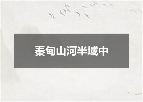 秦甸山河半域中