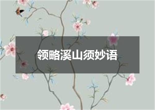 领略溪山须妙语