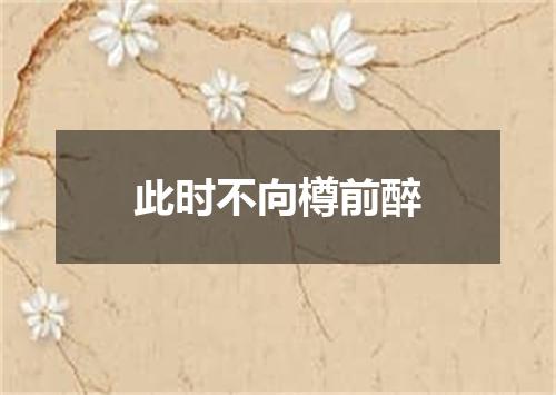 此时不向樽前醉