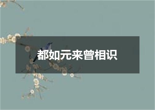 都如元来曾相识
