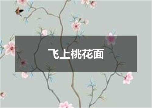 飞上桃花面