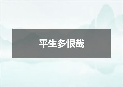 平生多恨哉