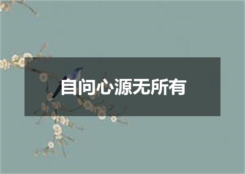 自问心源无所有