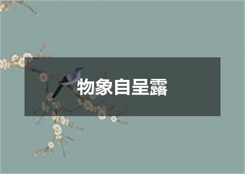 物象自呈露