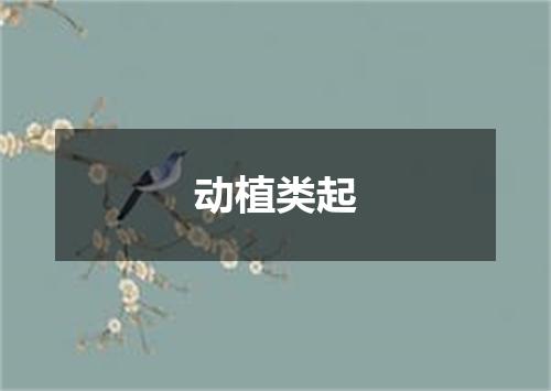 动植类起