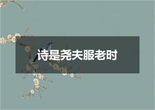 诗是尧夫服老时