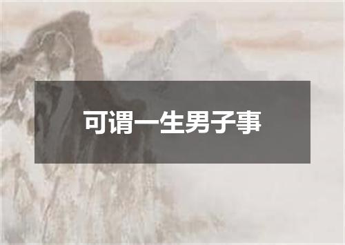 可谓一生男子事