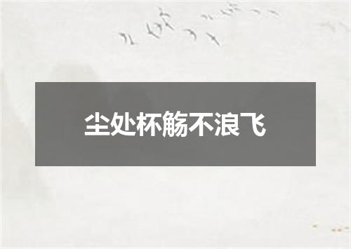 尘处杯觞不浪飞