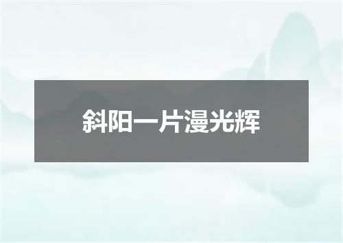 斜阳一片漫光辉