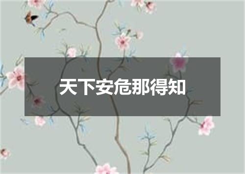 天下安危那得知