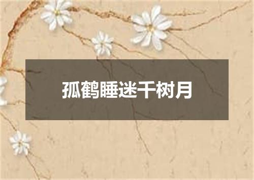 孤鹤睡迷千树月