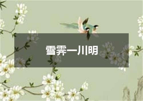 雪霁一川明