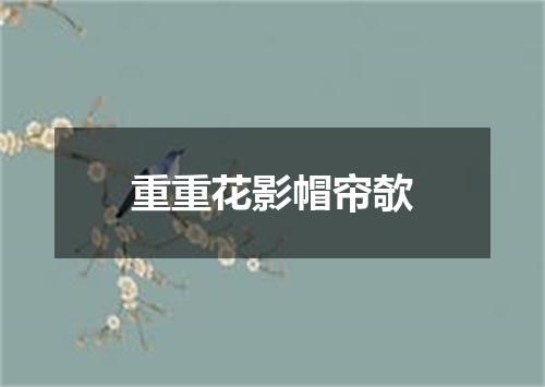 重重花影帽帘欹