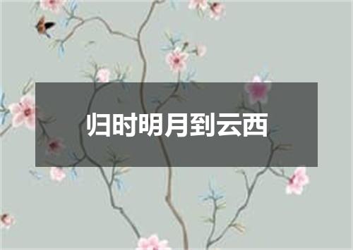 归时明月到云西