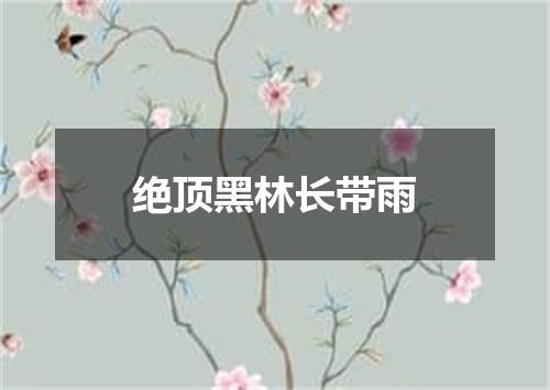 绝顶黑林长带雨