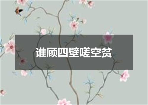 谁顾四壁嗟空贫