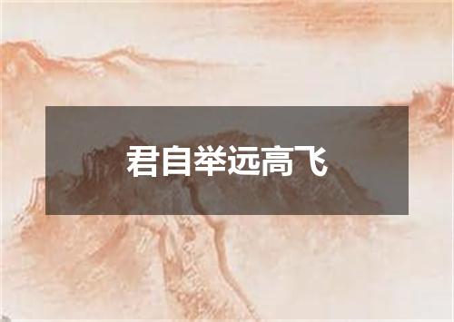 君自举远高飞