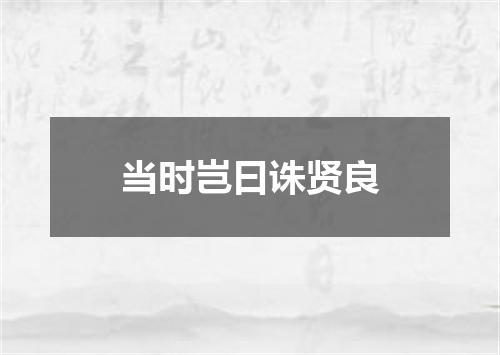 当时岂曰诛贤良