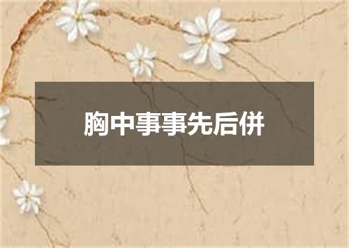 胸中事事先后併