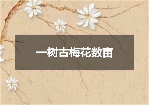 一树古梅花数亩