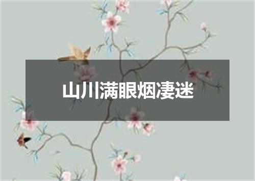 山川满眼烟凄迷