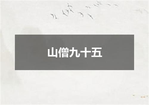 山僧九十五