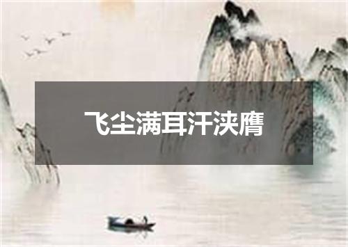飞尘满耳汗浃膺