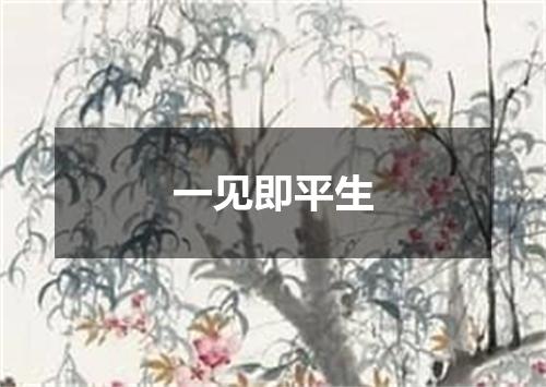 一见即平生