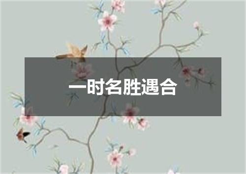 一时名胜遇合