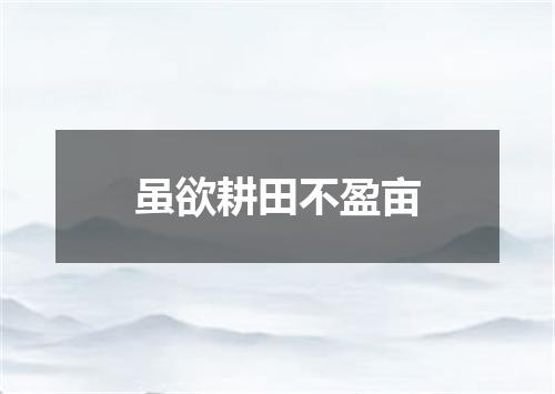 虽欲耕田不盈亩