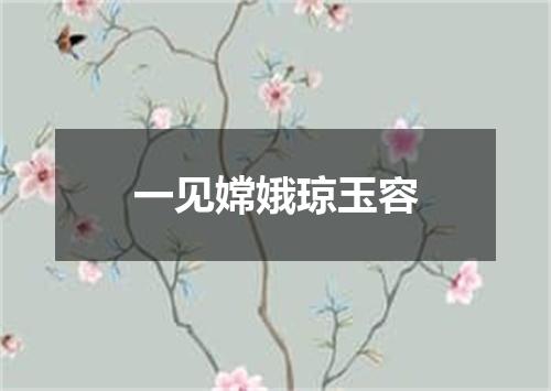一见嫦娥琼玉容