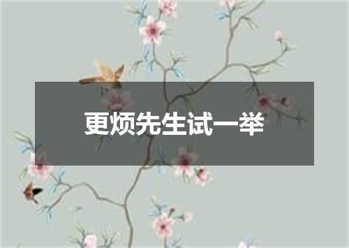 更烦先生试一举