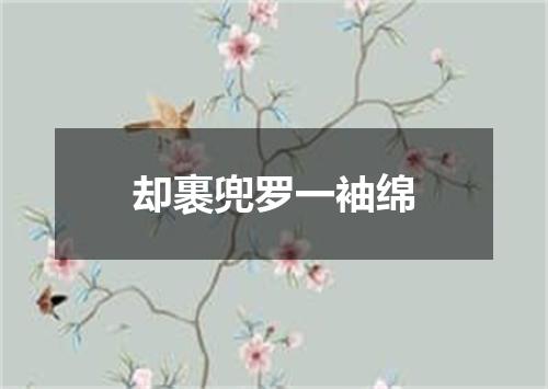 却裹兜罗一袖绵