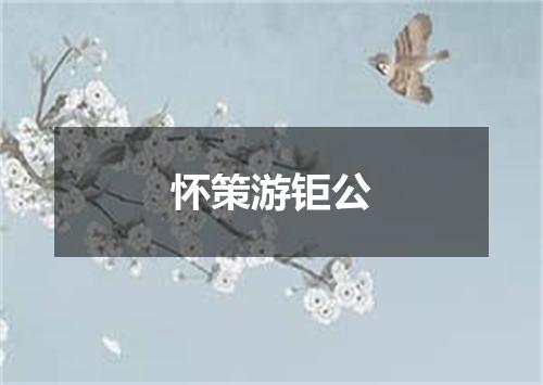 怀策游钜公