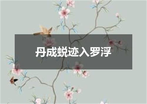 丹成蜕迹入罗浮