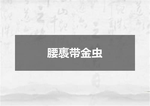 腰褭带金虫