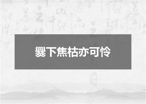 爨下焦枯亦可怜