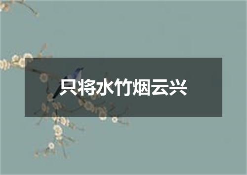 只将水竹烟云兴