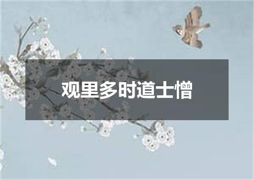 观里多时道士憎