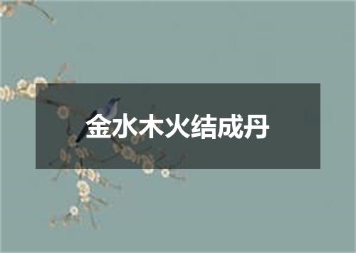 金水木火结成丹