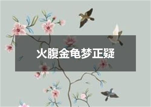 火腹金龟梦正疑