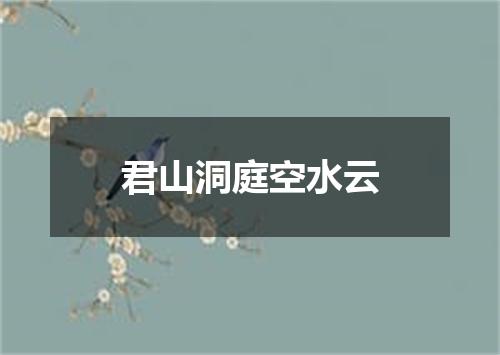 君山洞庭空水云