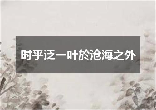 时乎泛一叶於沧海之外